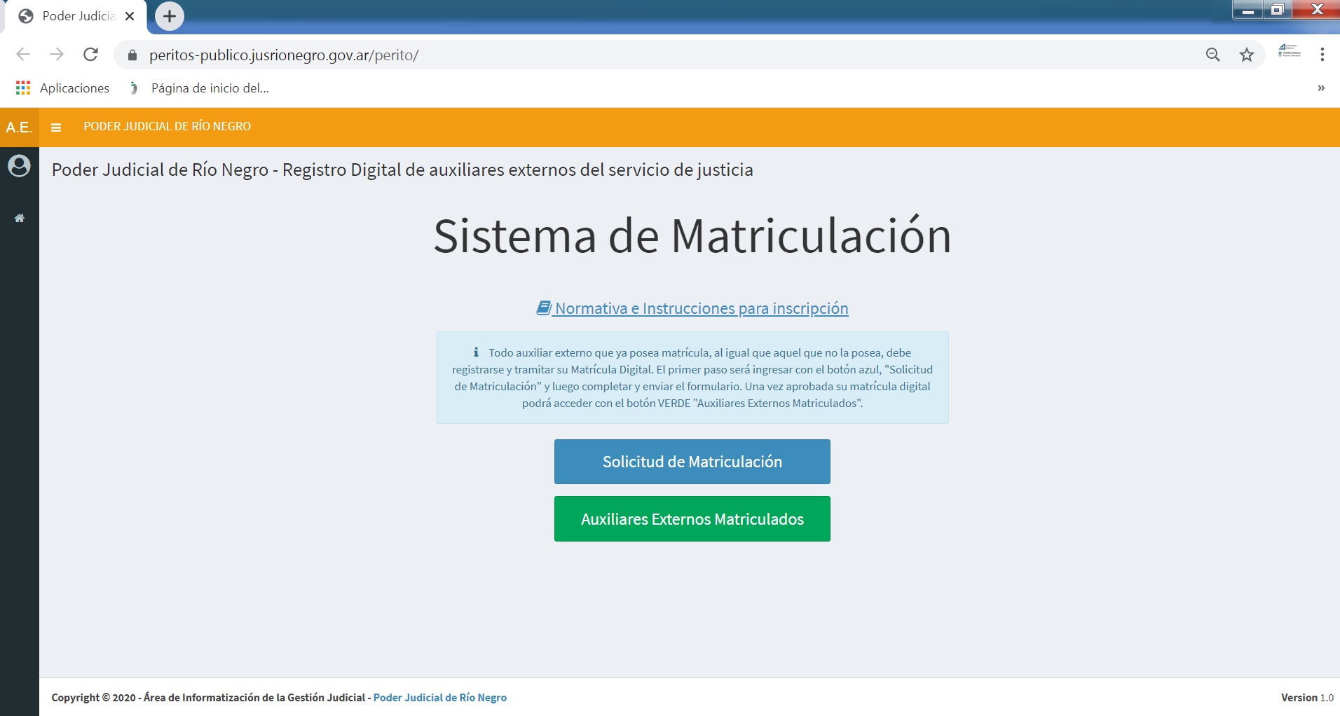 13_REGISTRO_DE_PERITOS_MATRICULACION